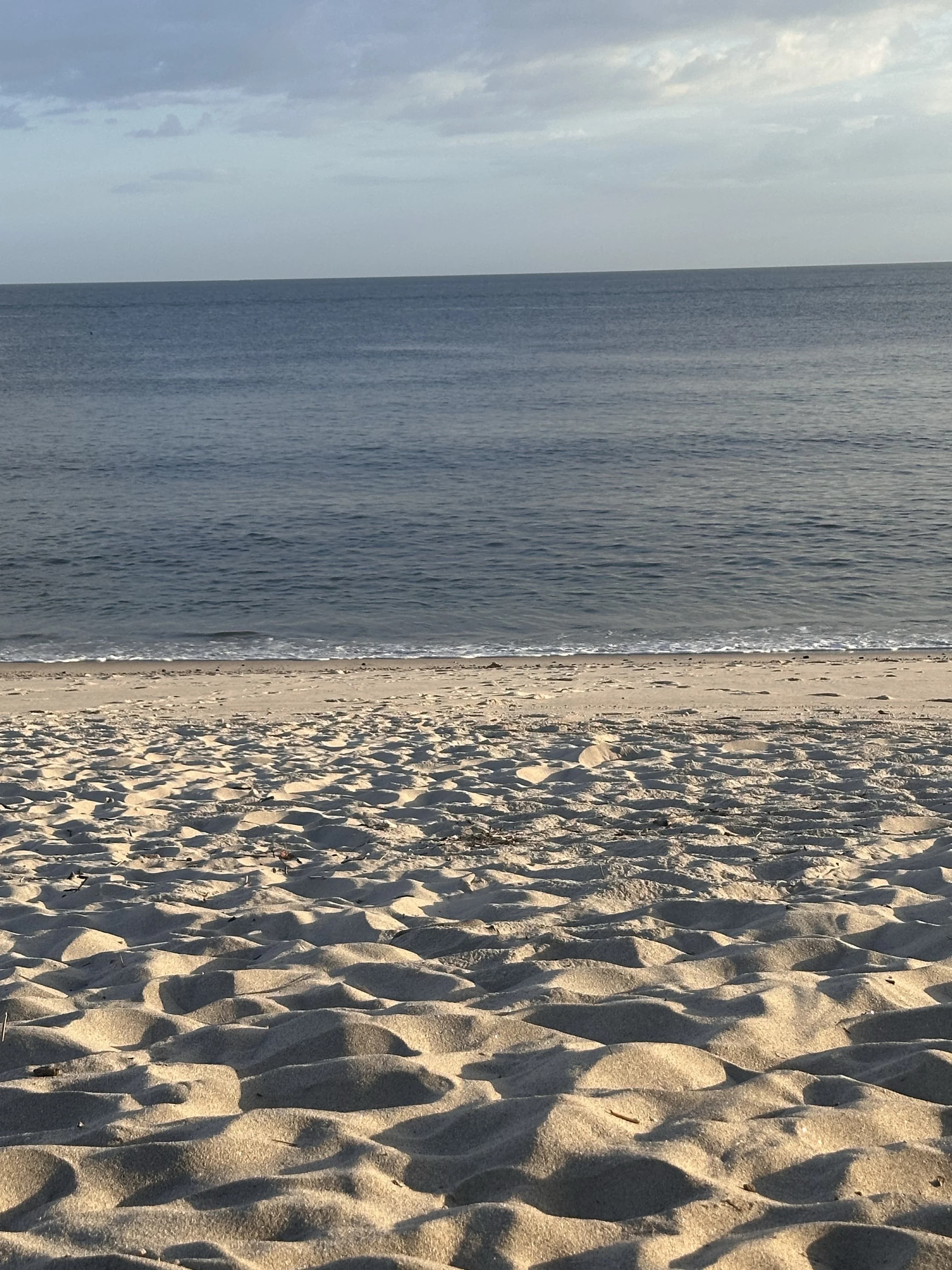 Playa paradisíaca con aguas turquesas y palmeras en Panamá