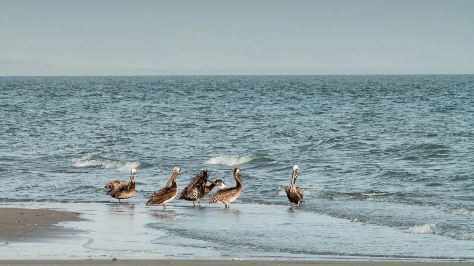 Playa de aguas turquesas en el Pacífico panameño, cerca de Ciudad de Panamá