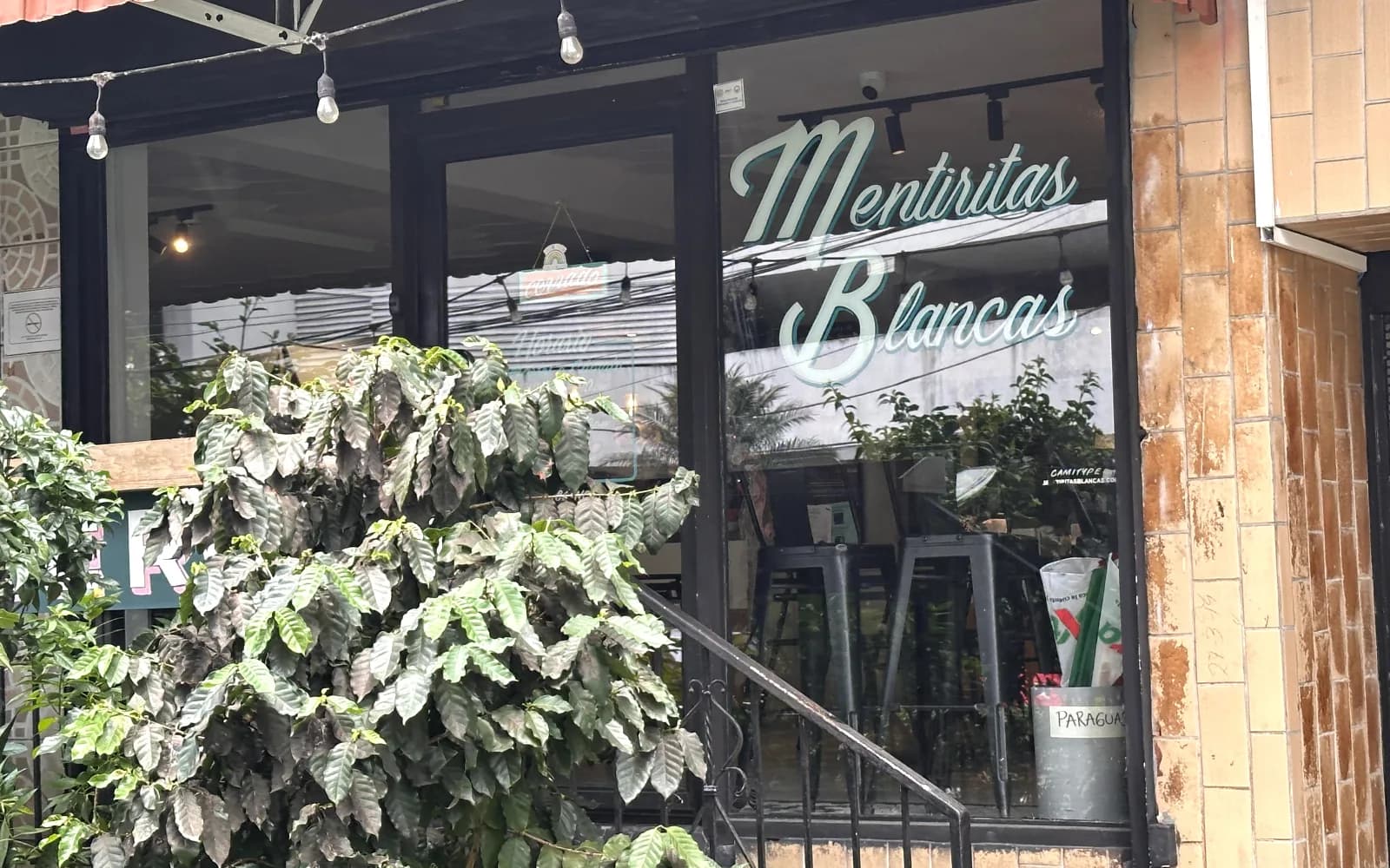 Mentiritas Blancas